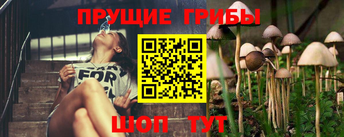 Галлюциногенные грибы MAGIC MUSHROOMS Псков