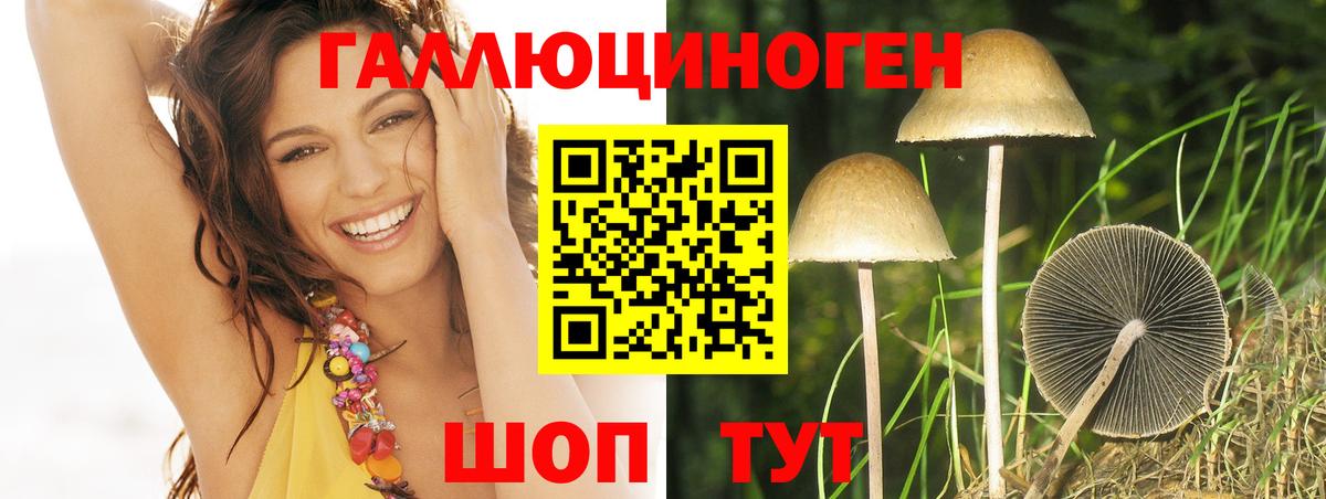 Псков  где можно купить   Вход с VPN  Псилоцибиновые грибы Psilocybe 